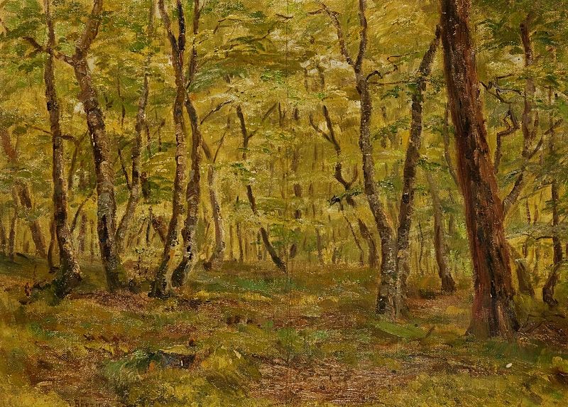 V lese, 1906