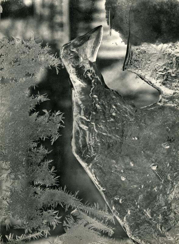 Bez názvu, z cyklu Divotvorná příroda, 1949 (Moravská galerie)