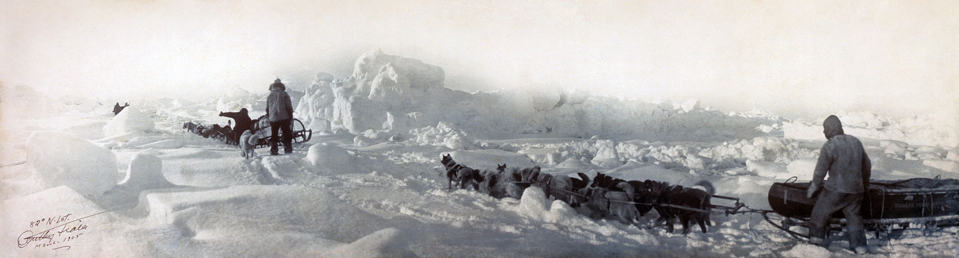 Zieglerova polární expedice, 1905