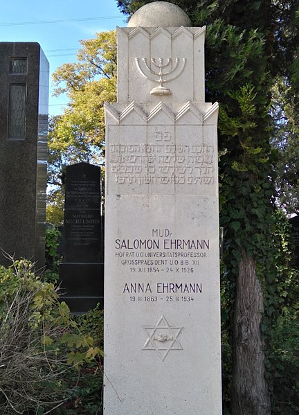 Hrob Salomona Ehrmanna na Ústředním hřbitově ve Vídni